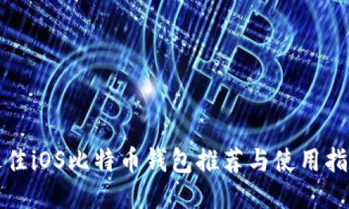 最佳iOS比特币钱包推荐与使用指南