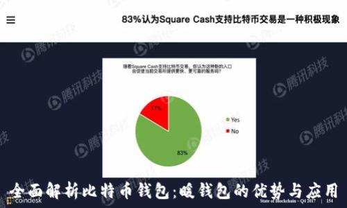   
全面解析比特币钱包：暖钱包的优势与应用