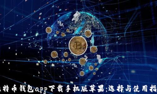 
比特币钱包app下载手机版苹果：选择与使用指南