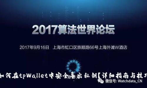如何在tpWallet中安全导出私钥？详细指南与技巧