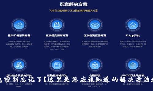 区块链钱包密钥忘记了？这里是您应该知道的解决方法和预防措施