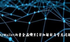 转入tpWallet的资金在哪里？