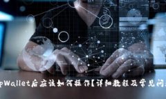 下载tpWallet后应该如何操作