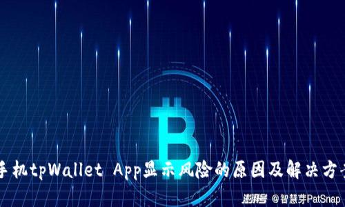 手机tpWallet App显示风险的原因及解决方案