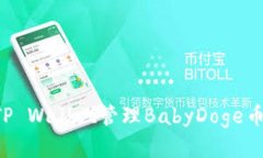 如何使用TP Wallet管理Baby