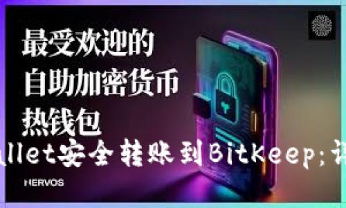 如何将tpWallet安全转账到BitKeep：详细操作指南