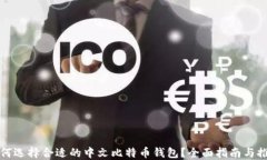 如何选择合适的中文比特