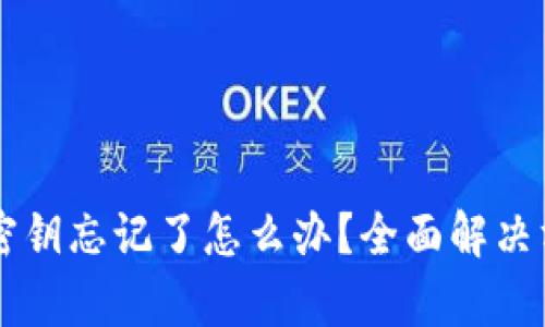 tpWallet密钥忘记了怎么办？全面解决方案与指南