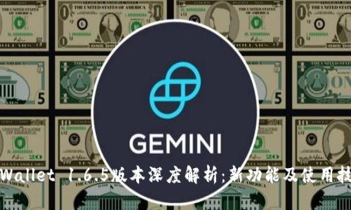 tpWallet 1.6.5版本深度解析：新功能及使用技巧