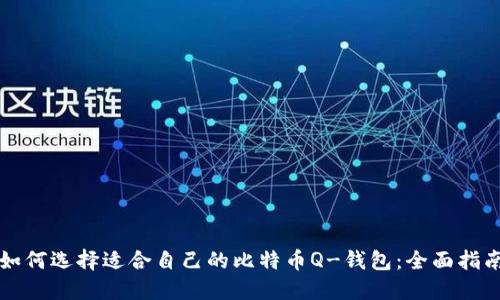 如何选择适合自己的比特币Q-钱包：全面指南