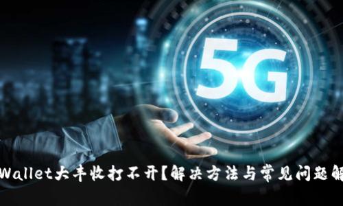 tpWallet大丰收打不开？解决方法与常见问题解析