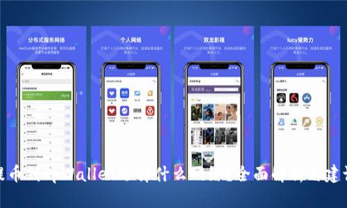 提币到tpWallet选择什么网络？全面解析与建议