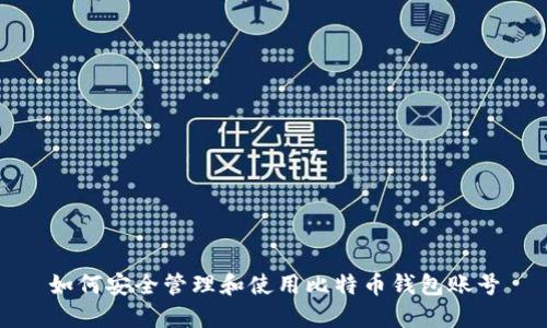 如何安全管理和使用比特币钱包账号