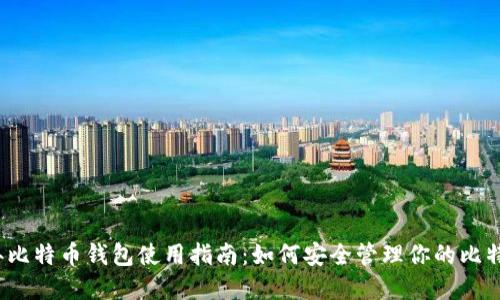 2013年比特币钱包使用指南：如何安全管理你的比特币资产