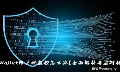 tpWallet账户被监控怎么办？全面解析与应对措施