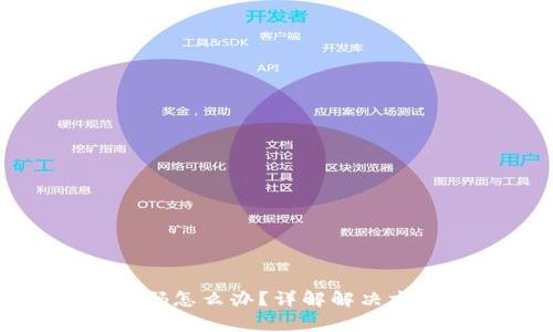 TP钱包忘记密码怎么办？详解解决方案与注意事项