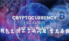 解决比特币钱包支付不了