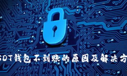 USDT钱包不到账的原因及解决方案