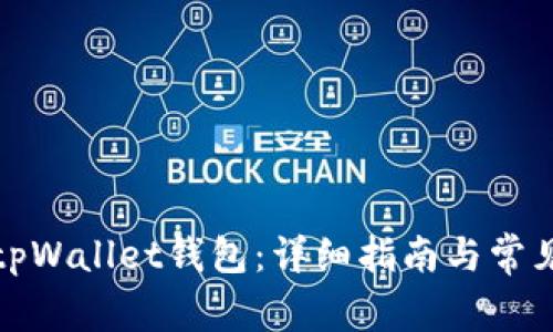 如何连接tpWallet钱包：详细指南与常见问题解答
