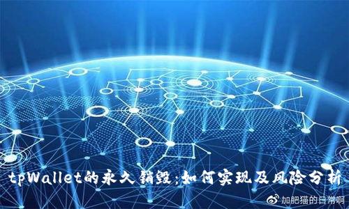 tpWallet的永久销毁：如何实现及风险分析