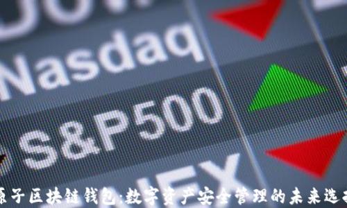 
原子区块链钱包：数字资产安全管理的未来选择