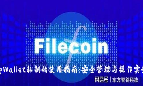 tpWallet私钥的使用指南：安全管理与操作实务