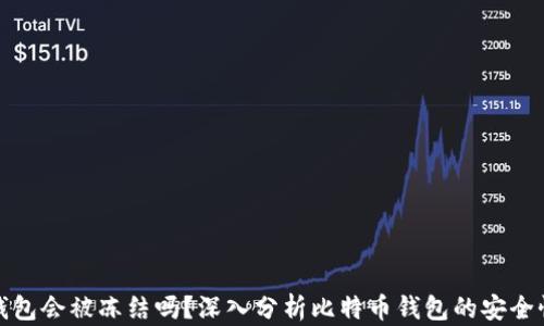 
比特币钱包会被冻结吗？深入分析比特币钱包的安全性与风险