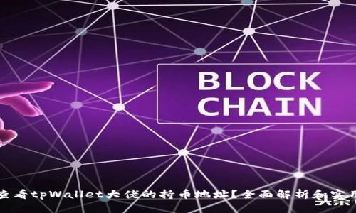 如何查看tpWallet大佬的持币地址？全面解析和实用指南