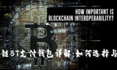 区块链BT支付钱包详解：如