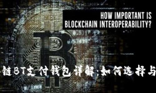 区块链BT支付钱包详解：如何选择与使用
