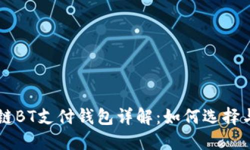 区块链BT支付钱包详解：如何选择与使用