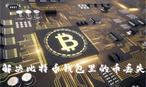 如何解决比特币钱包里的币丢失问题
