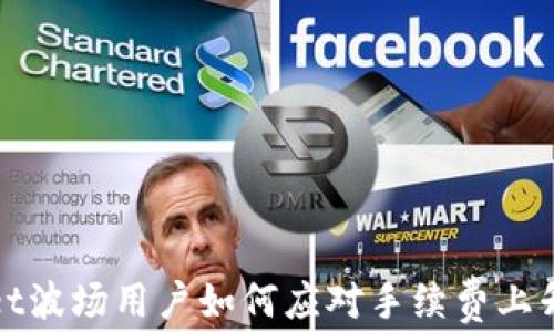 
tpWallet波场用户如何应对手续费上升的挑战