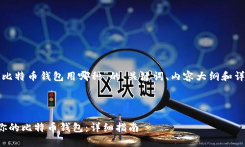 下面是关于“比特币钱包用哪种”的、关键词、内容大纲和详细问题介绍。



选择最适合你的比特币钱包：详细指南