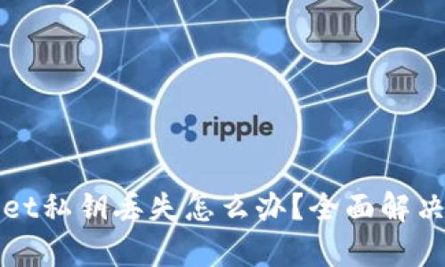 : tpWallet私钥丢失怎么办？全面解决方案解析
