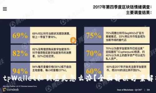 : tpWallet私钥丢失怎么办？全面解决方案解析