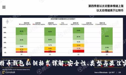 比特币钱包私钥格式详解：安全性、类型与最佳实践