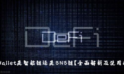 tpWallet是智能链还是BNB链？全面解析及使用指南