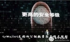 tpWallet支持的公链数量及其
