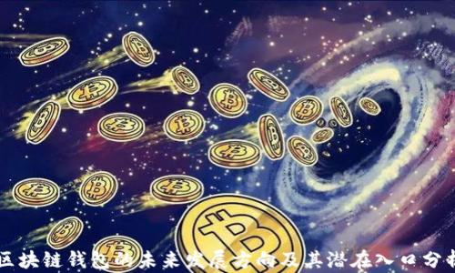
区块链钱包的未来发展方向及其潜在入口分析