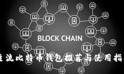 主流比特币钱包推荐与使用指南