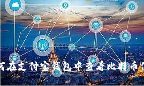 如何在支付宝钱包中查看比特币信息