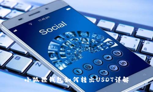 小狐狸钱包如何转出USDT详解
