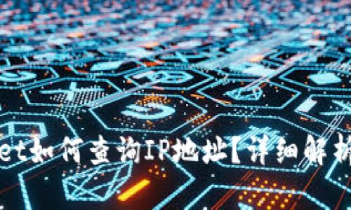 tpWallet如何查询IP地址？详细解析与指南
