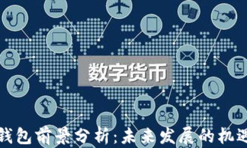 
比特币钱包前景分析：未来发展的机遇与挑战