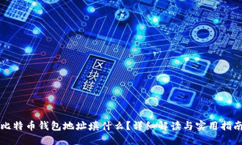 比特币钱包地址填什么？详细解读与实用指南