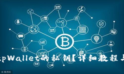 如何查看tpWallet的私钥？详细教程与注意事项
