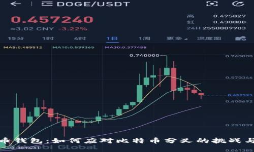 比特币钱包：如何应对比特币分叉的挑战与机遇