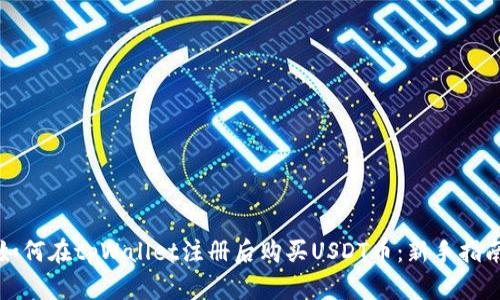 如何在tpWallet注册后购买USDT币：新手指南