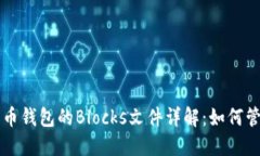 比特币钱包的Blocks文件详